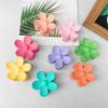 Spring Summer New Candy-colored Grab Clip Sweet Flower Hair Card Girls Fashion Headwear Women Elegant Sexy Hairpin Shark Clips