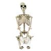 Halloween Skeleton  90cm Halloween Human Shape Posable Human Shape Bones Halloween Herror Decorations Haunted House Horror Props