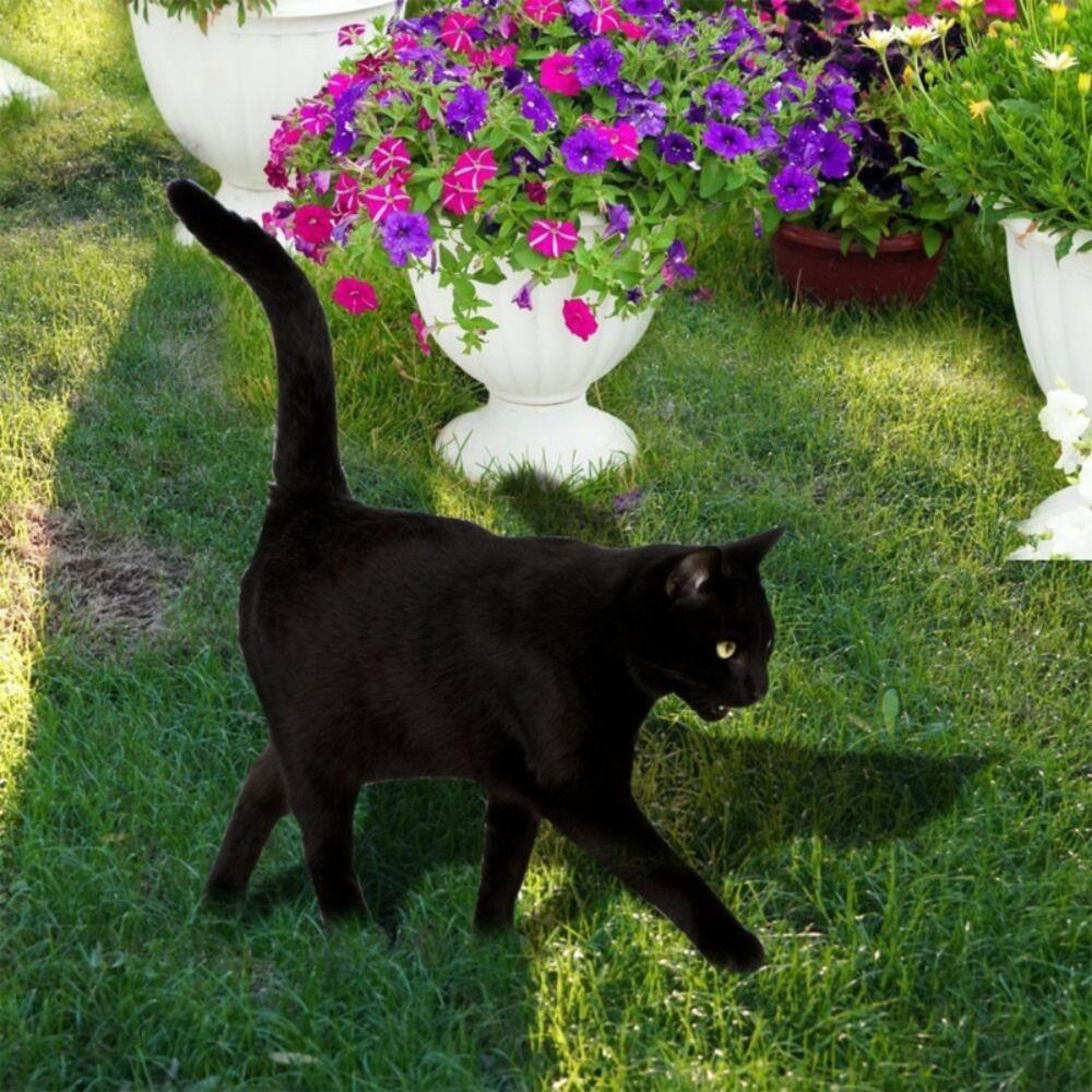 Acrylic Acrylic Cat Stake Waterproof Simulation Black Cat Statue Cat Garden Stake  Outdoor