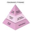 LONDON NOTES Pleaser Perfume for Men & Women | Long Lasting Floral & Sweet Fragrance | Premium Perfume for Men & Women for Men & Women |