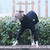 Windhund/Whippet Schmal geschnittene Hundekleidung Rollkragen Stretch Haustier Unterhemd Schwarz Premium Haustierkleidung