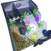 Large Plastic Turtle Tank with Sunning Platform and Breeding Box