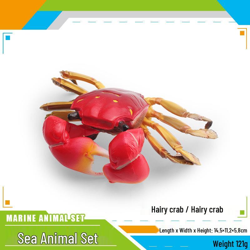 Children s Cognitive Marine Animal Crab Toy - Hairy & Mitten Crab Model, Decorative Ornament