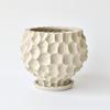 Creative Ceramic Succulent Pot for Phalaenopsis & Cyclamen - Rough Pottery Ornament
