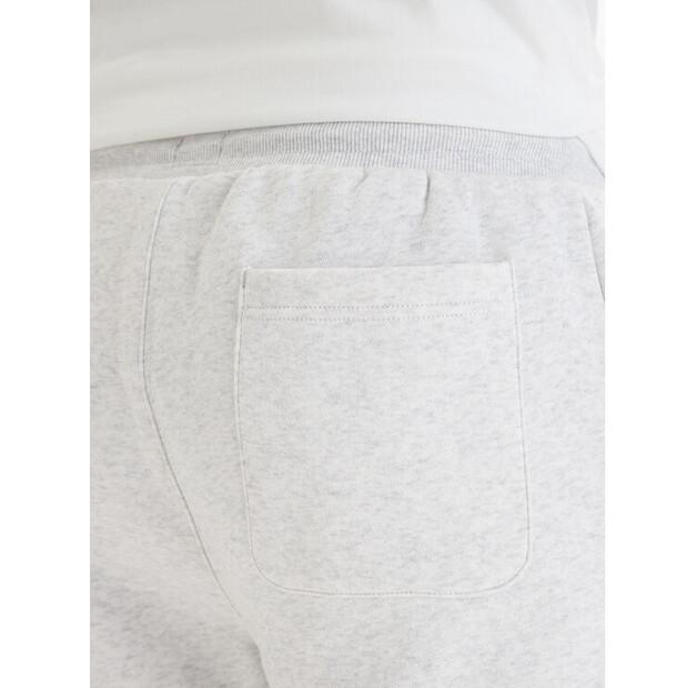 Tommy Jeans Shorts DM0DM21931