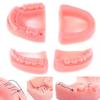 4 Stück/Set Naht-Trainingsmodul weiches Zahnfleischmodell lebensmittelechtes Silikon Dentalmodell Lehrmittel