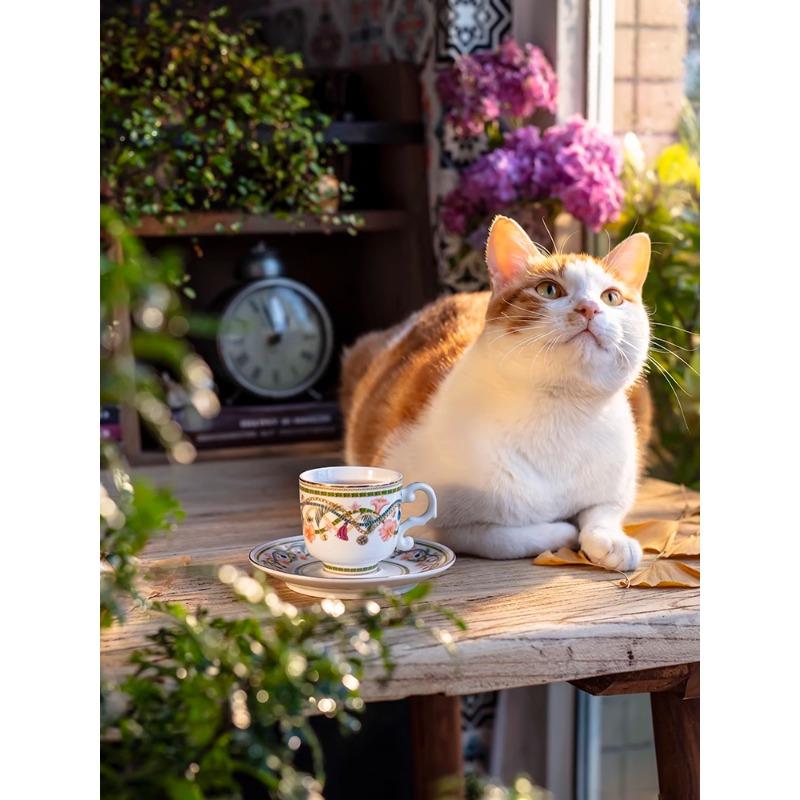 Italian Espresso Cup, Small Coffee Cup, Extra Strong Espresso, Single Product Ceramic, Small Capacity, Small Size, Mini Cup and Plate, Compact