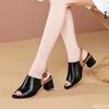 Fashion Fish Mouth Color Blocked Low Heeled Sandals 2025 New Outfit European and American Versatile Style Sandals Platform Zapatos Mujer