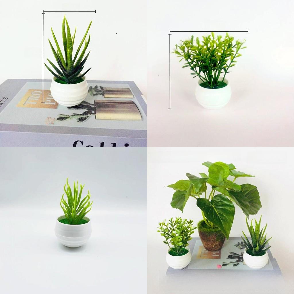 Simulated Aloe Vera Succulent Artificial Green Plant Bonsai For Decor Indoor
