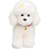 Cute Realistic Teddy Dog Plush Toy - Children's Birthday Gift & Desk Companion