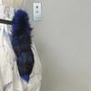 Furry Remote Operated Foxes Tail Accessory Adjustable Moving Costume Tail For Stage Shows And Costume Parties