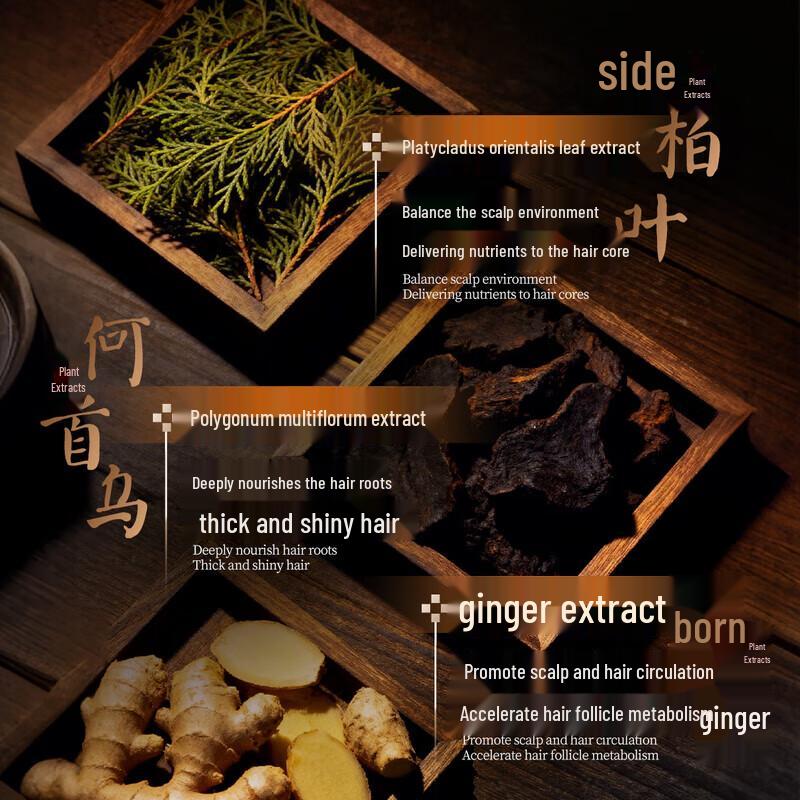 Arborvitae Herbal Hair Care