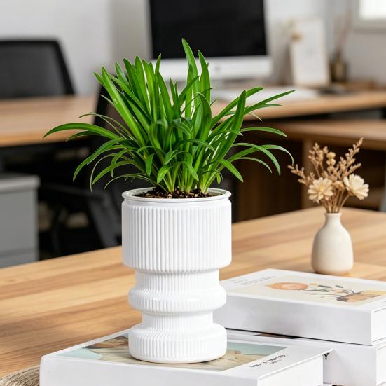 Self Watering Flowerpot with Transparent Bottle and Water Level Indicator for Indoor Plants Self-Absorbing Planter with Double-Layer Ventilation