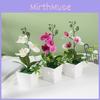 Phalaenopsis Square Pot Potted Artificial Flower Wedding Decoration Bonsai Gift