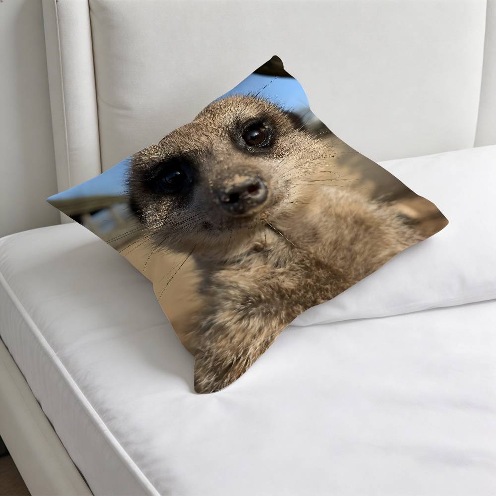 Cute Baby MMeerkat Fashion Square Pillow Case Durable Throw Pillow Cover for Sofa Couch Chair