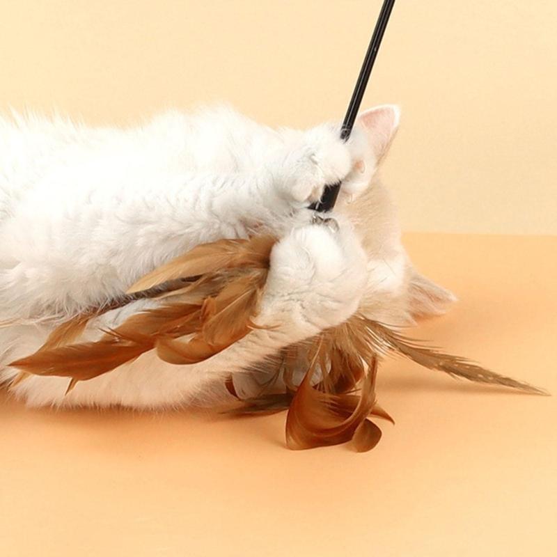 Feder Kätzchen Quaste Spielzeug Kätzchen Lustig Bunte Stange Katze Stab Spielzeug Haustier Katze Spielzeug Interaktiver Stock Haustier Katze Jagd Zubehör