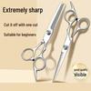 Professional Hairdressing Scissors Set: Thinning Shears, Flat Shears, Texturizing Shears for Kids and Adults