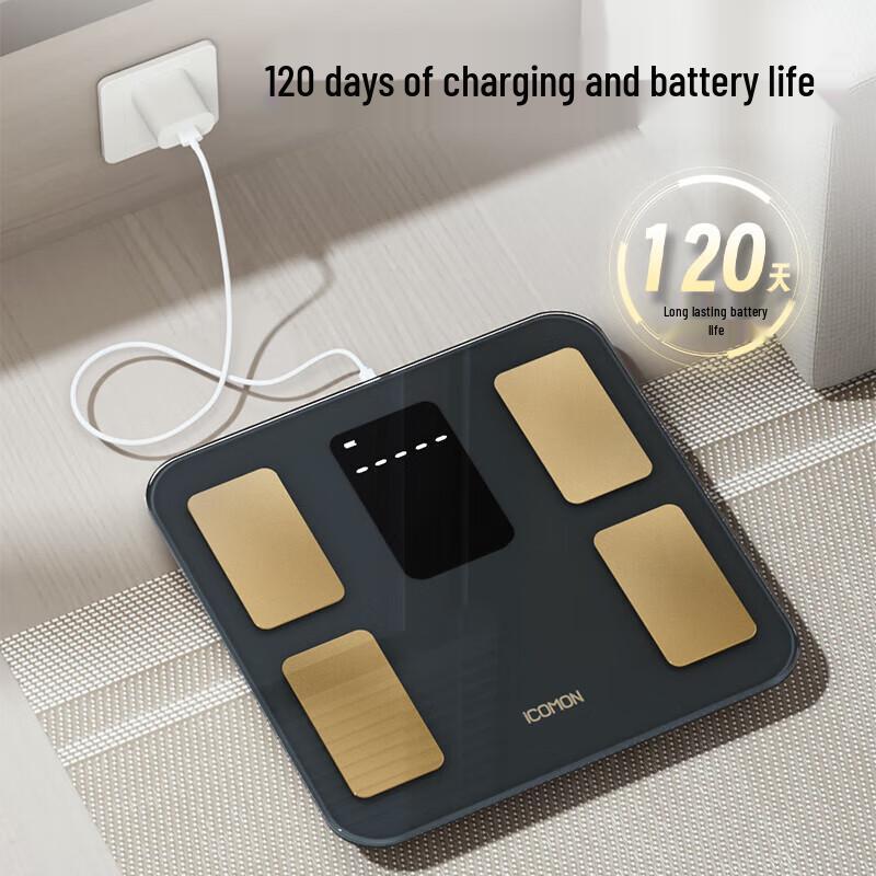 Wolai Smart Color Screen Body Fat Scale (CN version)