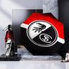 Eagle Symbol Frei-burg Football Umbrella 8-Frame for Travel, Camping, Casual Lightweight Portable Umbrella, Essential for Every Family Holidays Gift