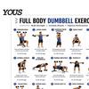 Beginner Friendly Fitness Guide 2 Pcs Dumbbell Workout Chart Poster, Full Body Exercise Training Routine Wall Art, Strength for Home Gym
