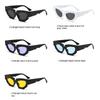 2PACK Trendy Cat Eye Irregular Sunglasses Women Men Luxury Brand Polygon Sun Glasses for Ladies Vintage Punk Shades Gafas De Sol