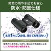 DGR 10×21RCWP