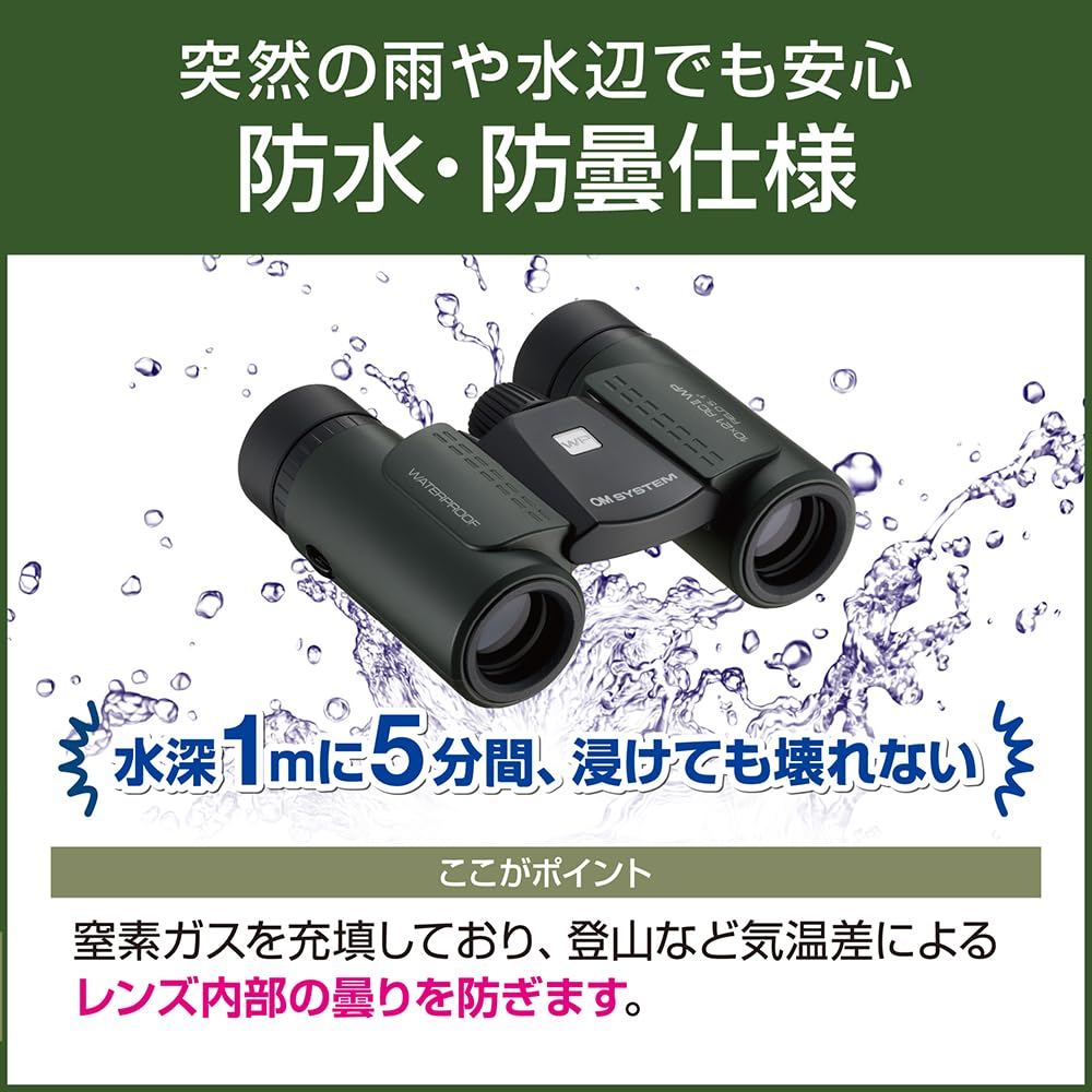 DGR 10×21RCWP