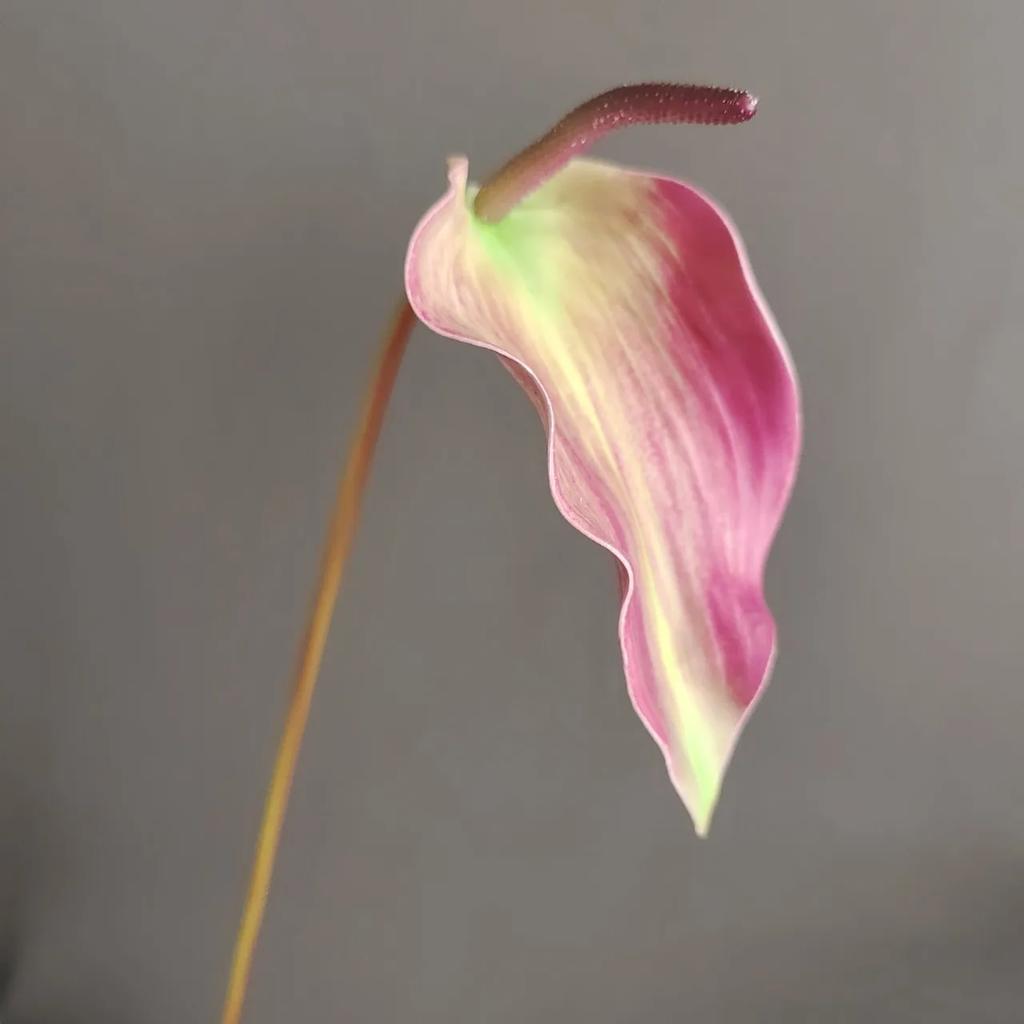 6Pcs/lot Artificial Latex Red Palm Real Touch Flowers Calla Lily Wedding Flower Arrangement Brithday Party Decor Home Ornaments