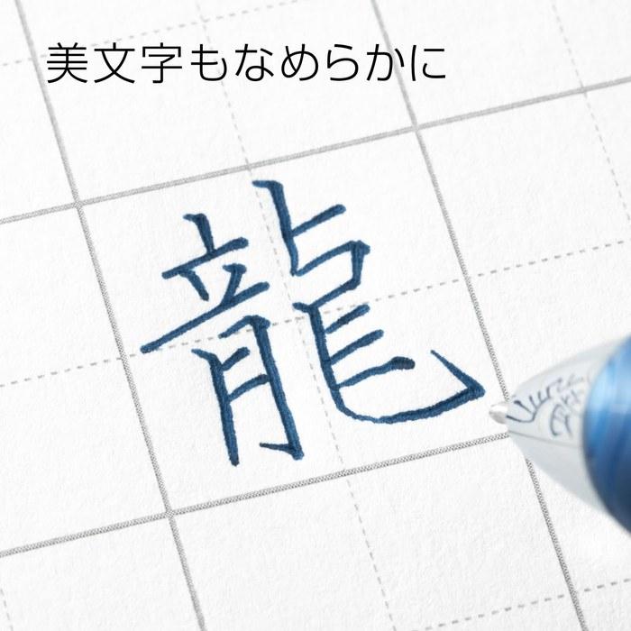 Pentel EnerGel Ballpoint Pen 0.5mm Silver Body BLN75Z-CA Blue Black 10-pack
