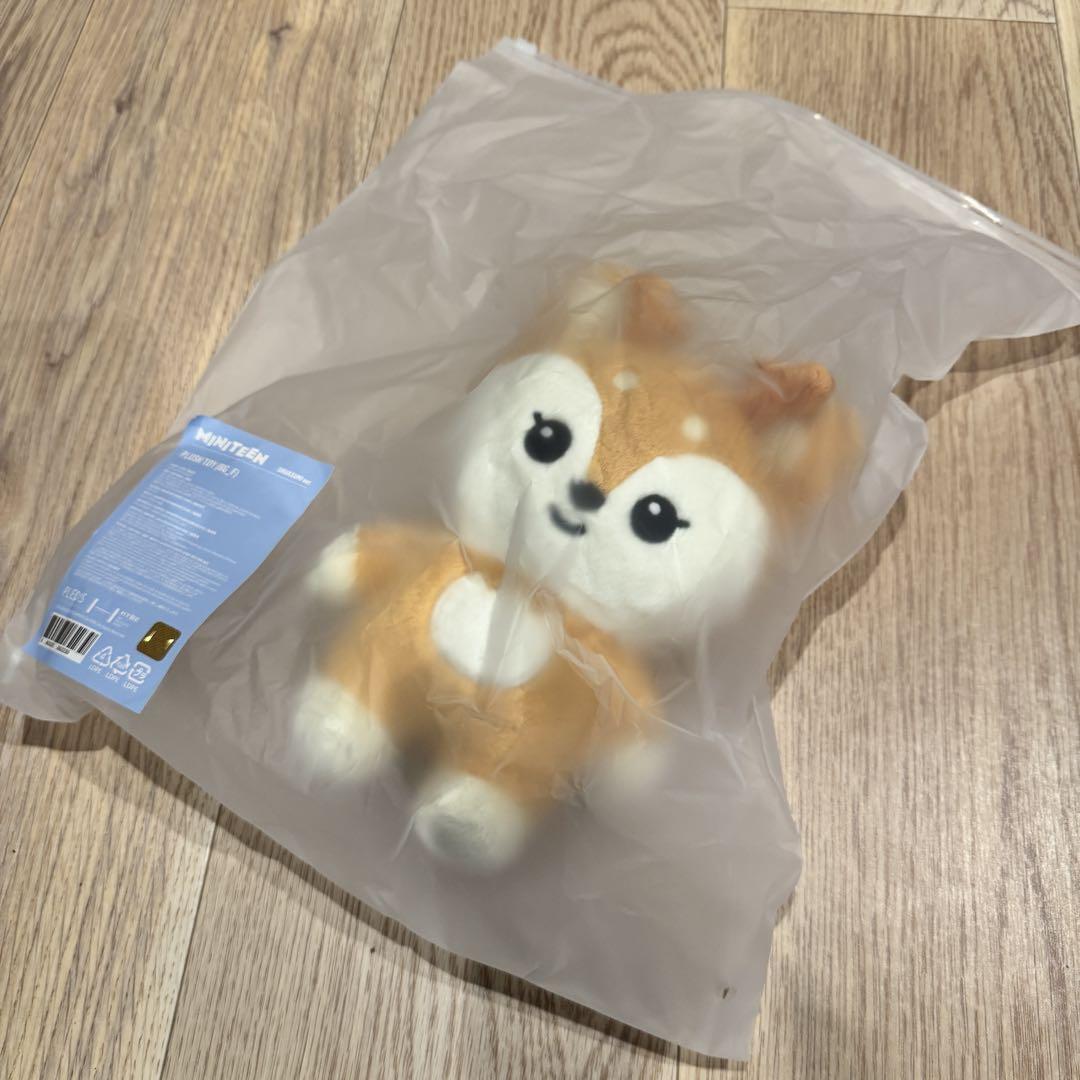 

[USED] Pop-up SEVENTEEN MINITEEN Plush Toy Joshua