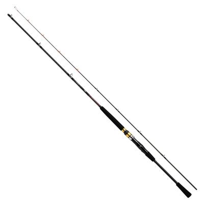 Daiwa Canna da pesca Seaflex 64 Nero 50-300/N
