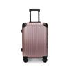 PLOVER 20-inch Aluminum Frame Luggage with Silent Wheels