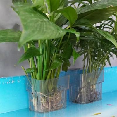 Set mit 8 transparenten Aquarienpflanzenhaltern mit Hängehaken, Kunststoff-Pflanzenkorb für Aquarium, Wasserpflanzen-Ausstellung