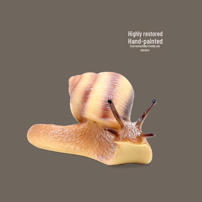 Simulated Snail Growth Cycle Science Toy for Kids