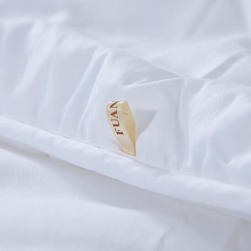 Fuanna All-Season Warm Core Comfort Quilt