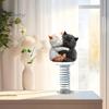 Süßes Geschenk für Katzenliebhaber Auto Armaturenbrett Dekorationen mit Feder-Wackel-Design, 2D Flache Acryl Kätzchen Lebendige Figuren Ornamente, Stabil Selbstklebend