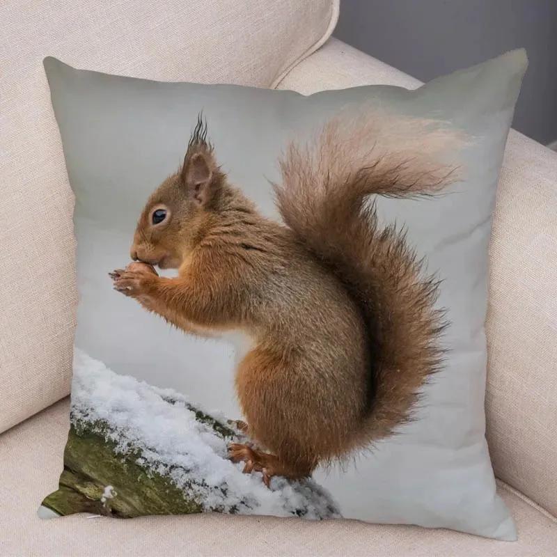 Cute Squirrel Cushion Cover Pillowcase Pillow Covers Home Decor Pet Animal Pillows Case Super Soft Polyester Pillows Covers