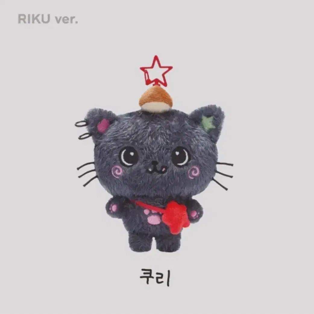 

Мы продаем Nct Wish Rikukuri!