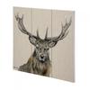 Home Decor – Pictures & Posters