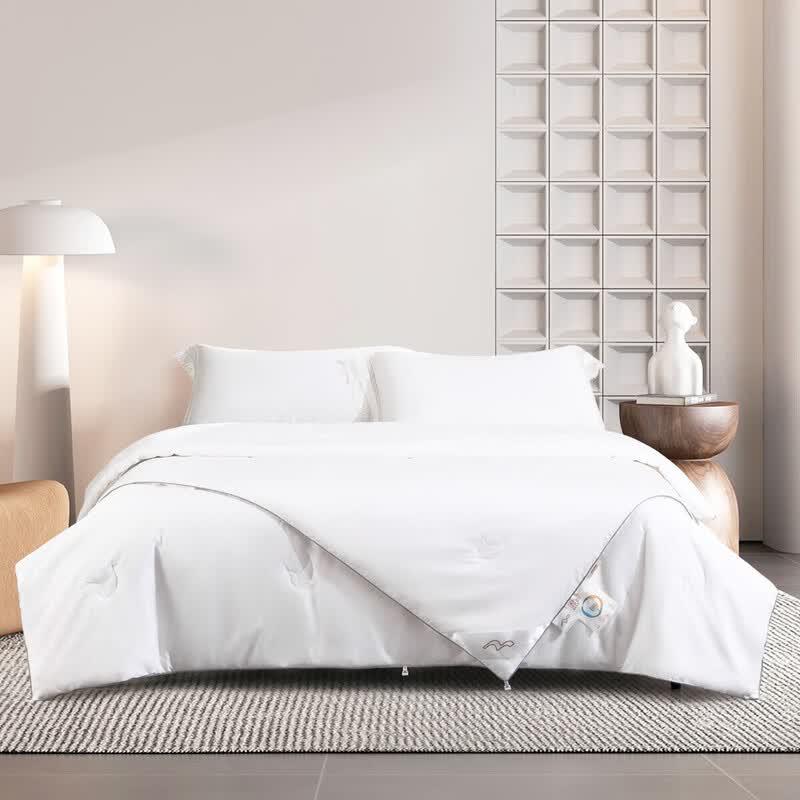 

Mercury Home Textiles Mulberry Silk Quilt
