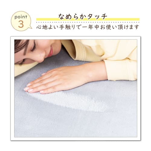 Astro Rug, Light Gray, 185 X 240 Cm (approximately 3 Tatami Mats), Washable, Warm Carpet, Moisture-Wicking, Heat-Generating, Antibacterial, Odor-Resis