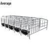 Sow Farrowing Crate with Integrated Feeder