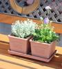 Yawata Kasei Eco Vaso da fiori Quadrato 120 Stile non smaltato "Hachiman gardensarbre"