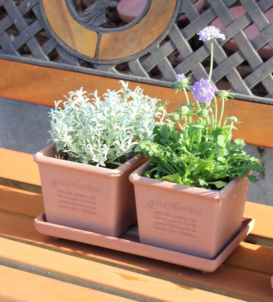 Yawata Kasei Eco Vaso da fiori Quadrato 120 Stile non smaltato "Hachiman gardensarbre"