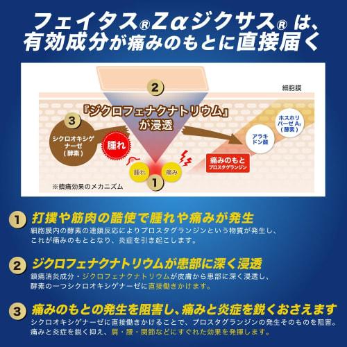 [Category 2 OTC Drug] Fetas Z Cream 30g