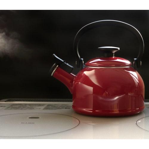 GoodPlus+ Special Order Cotton Whistling Kettle 1.6L, Gray