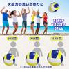 SALUDABLE Beach Ball, Giant Volleyball, Large Jumbo Ball, Perfect for Water Sports and Water Play (60cm)