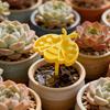 3D-printed Bee Water Station with Stick Eco-friendly Beekeeping Insect Cup for Yard Use