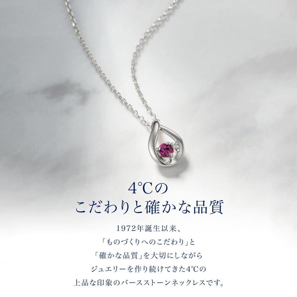Official January Birthstone Eternal Silver Necklace with Garnet Drop Includes Jewelry Gorgeous Anniversary Gift for 112434721801 4℃ Design, Case,