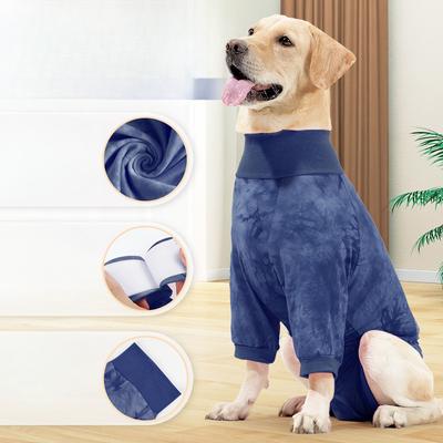 Psi – Péče o psa